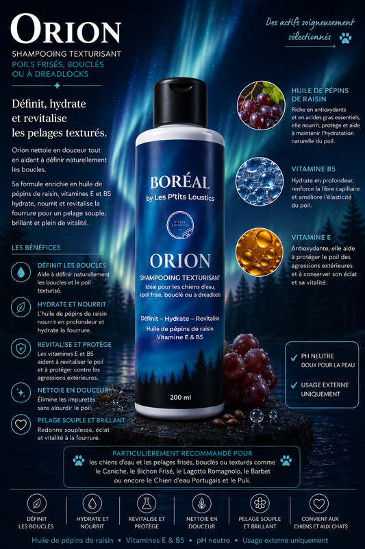 Shampooing Texturisant ORION