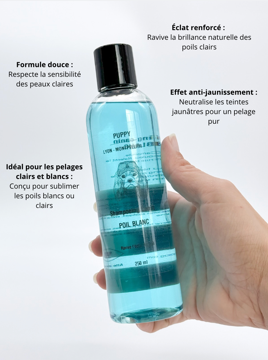 Shampoing Poil blanc