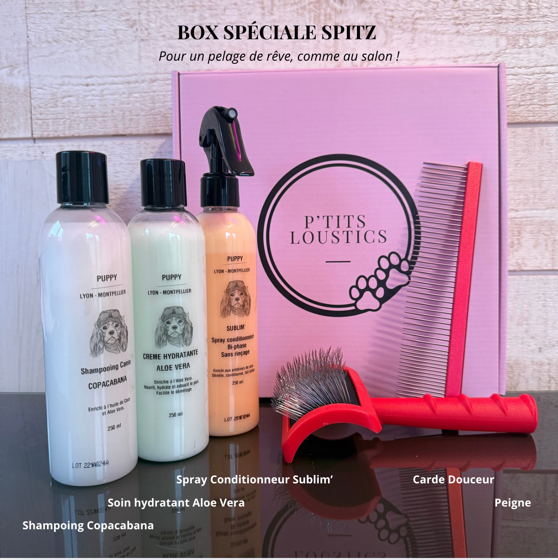 Box complète Spitz