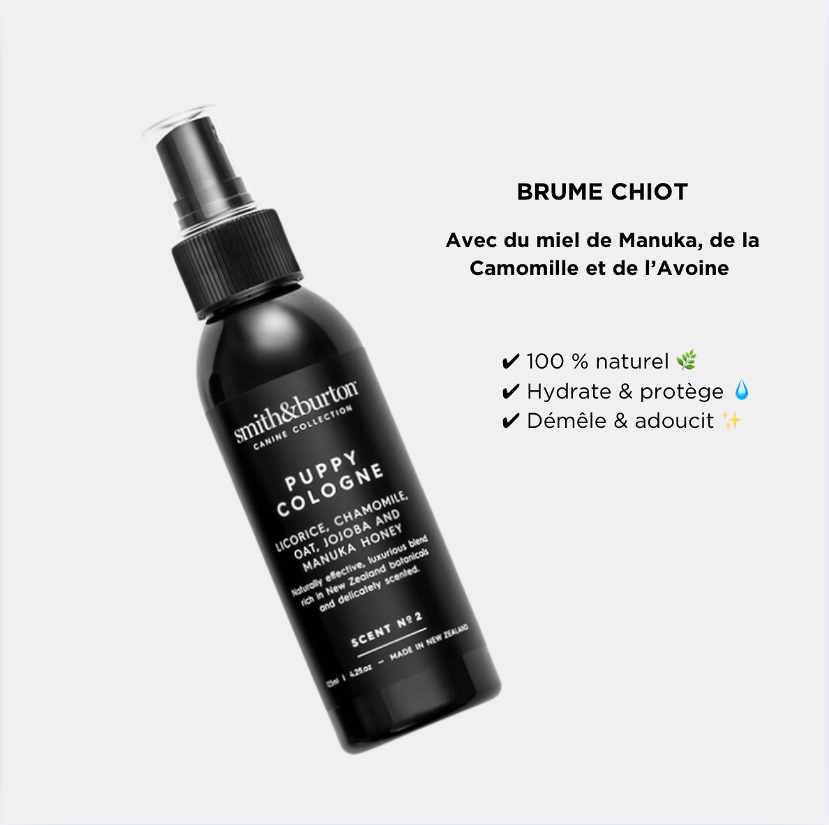 Brume Chiot
