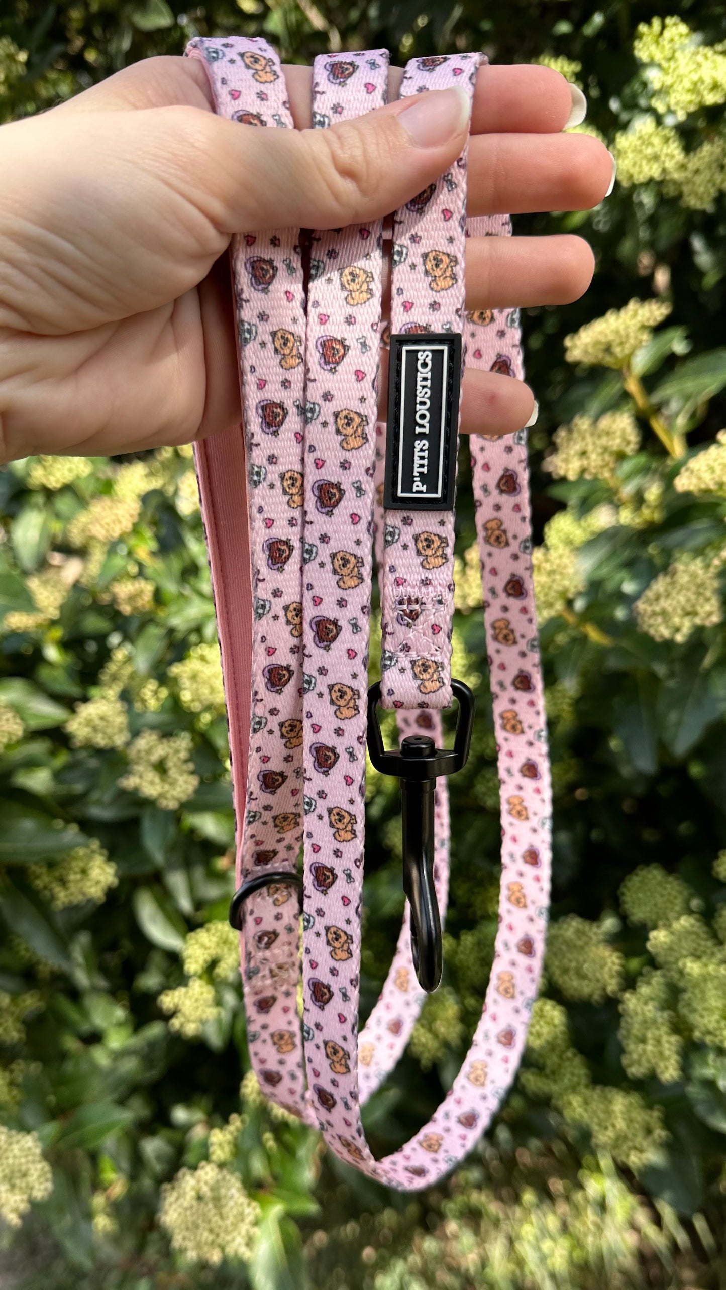 Laisse Pomeranian Rose