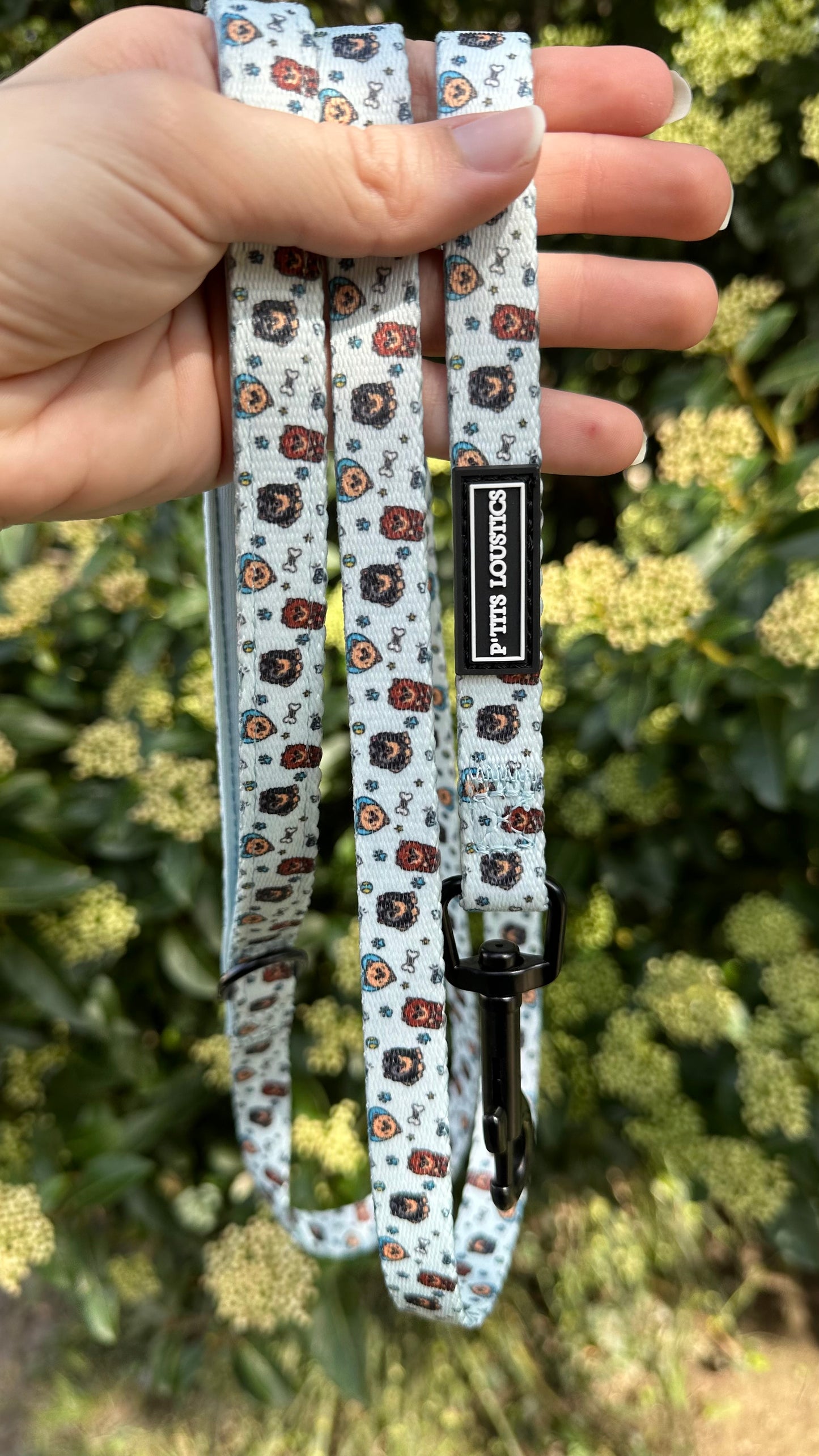 Laisse Pomeranian Bleu