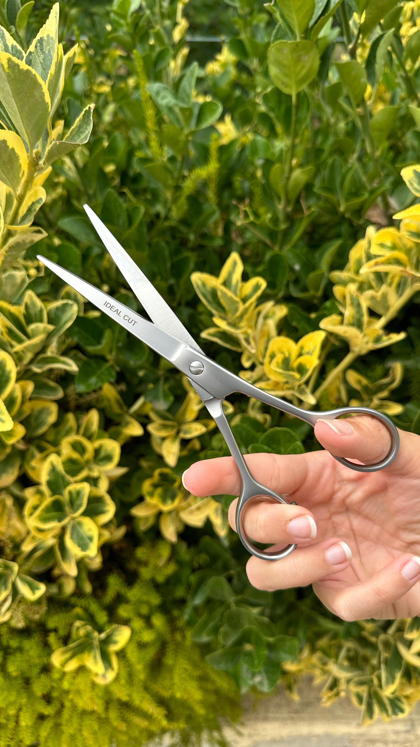 Ciseaux Droits Satinés 17 cm