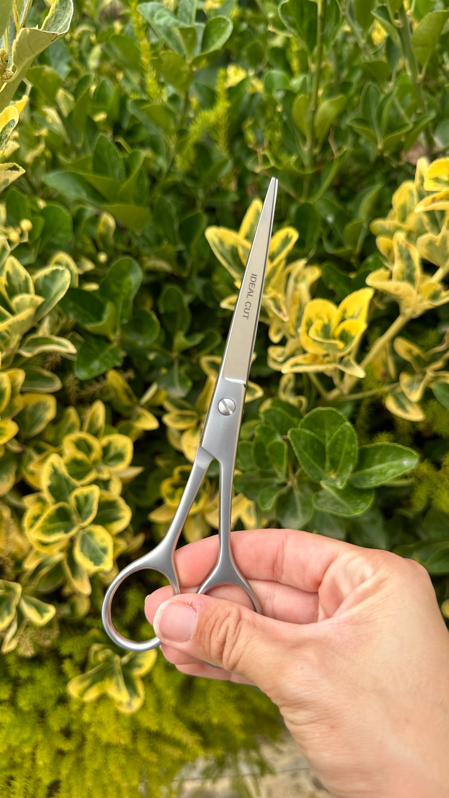 Ciseaux Droits Satinés 17 cm