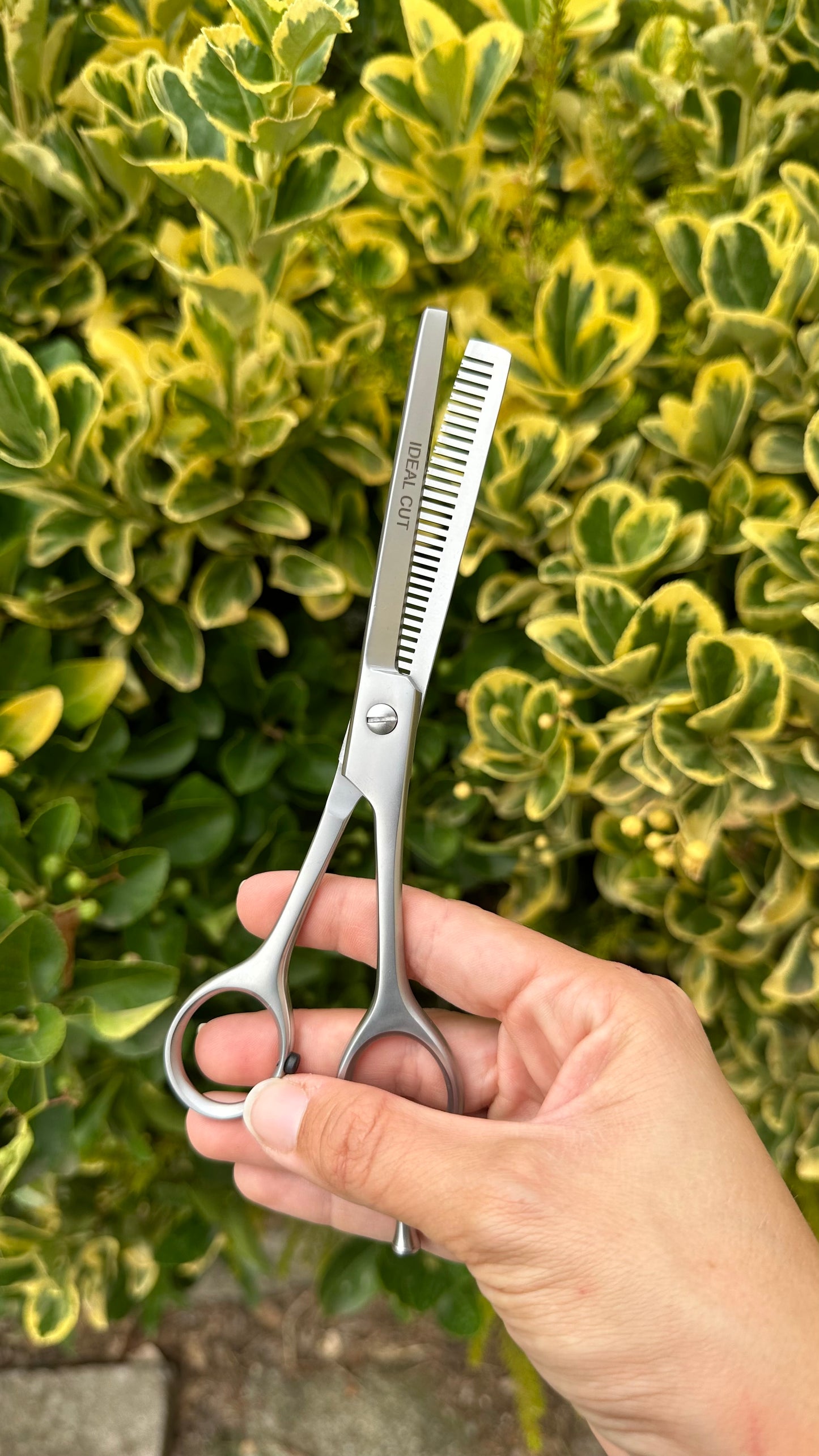 Ciseaux Sculpteur Satiné 17 cm