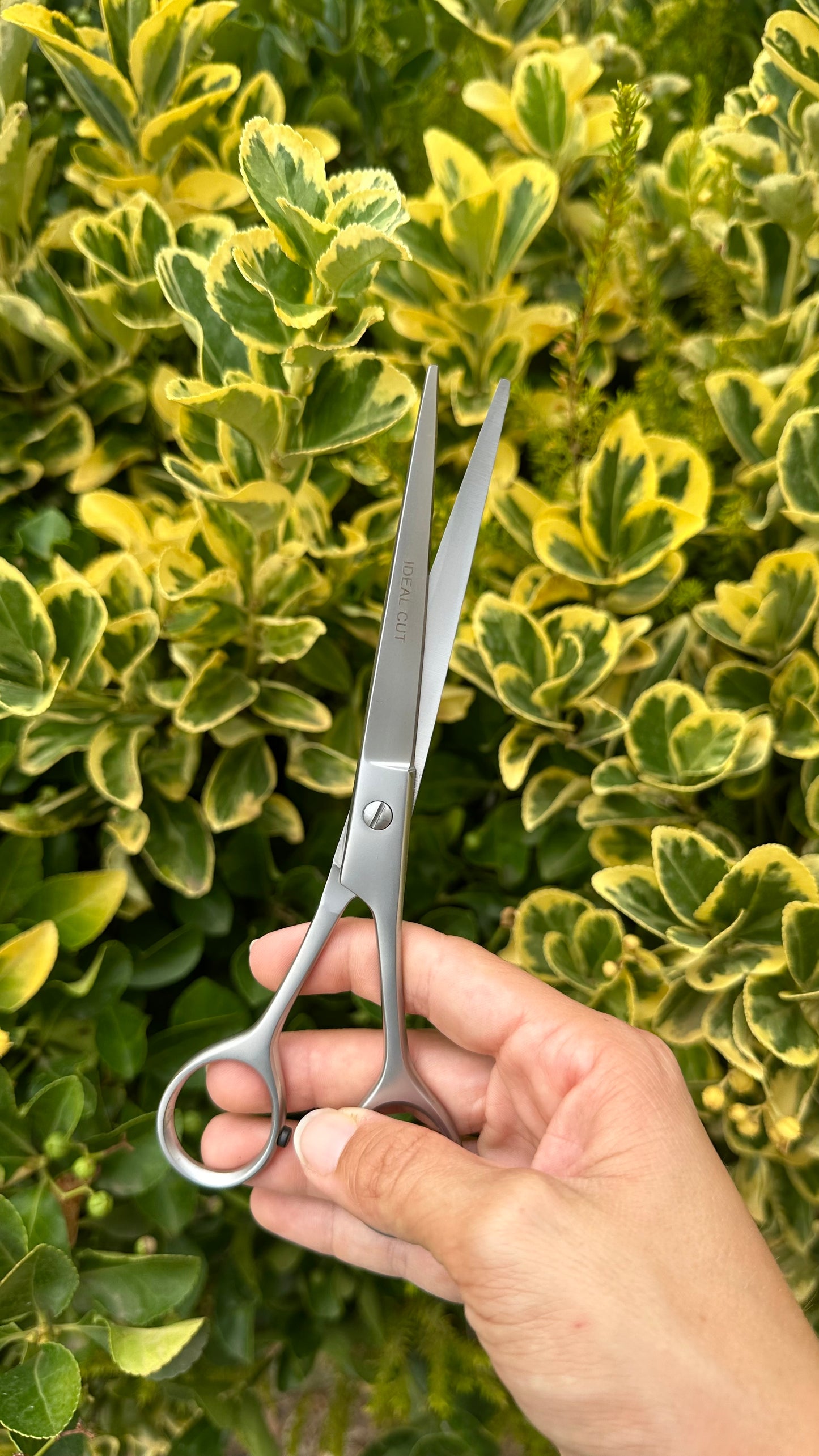 Ciseaux Courbes Satinés 18 cm