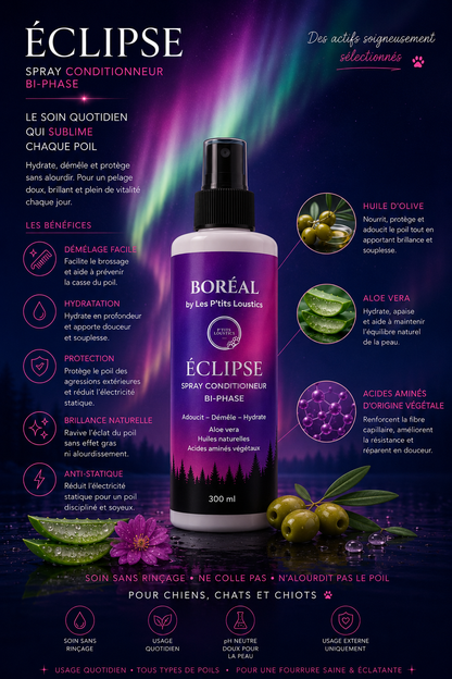 Spray conditionneur ECLIPSE