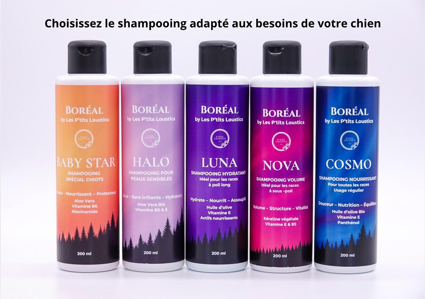 ✨ Coffret Boréal