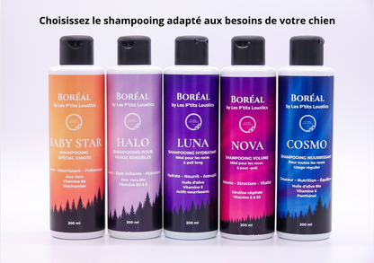 ✨ Coffret Boréal