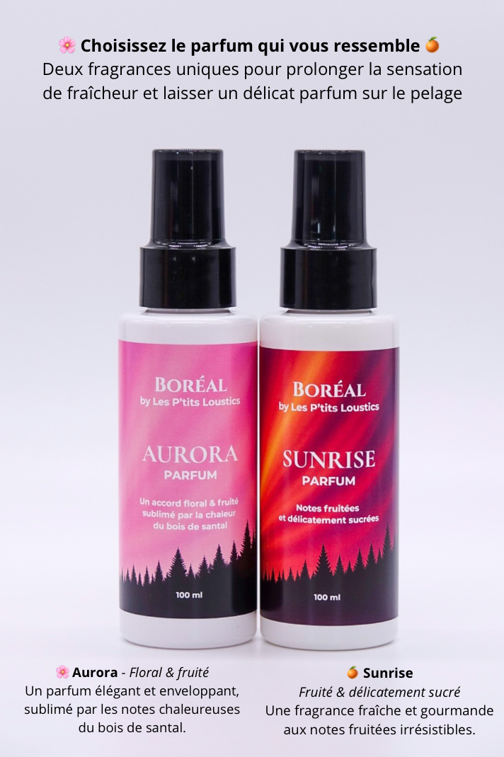 🌈 Coffret Boréal Signature