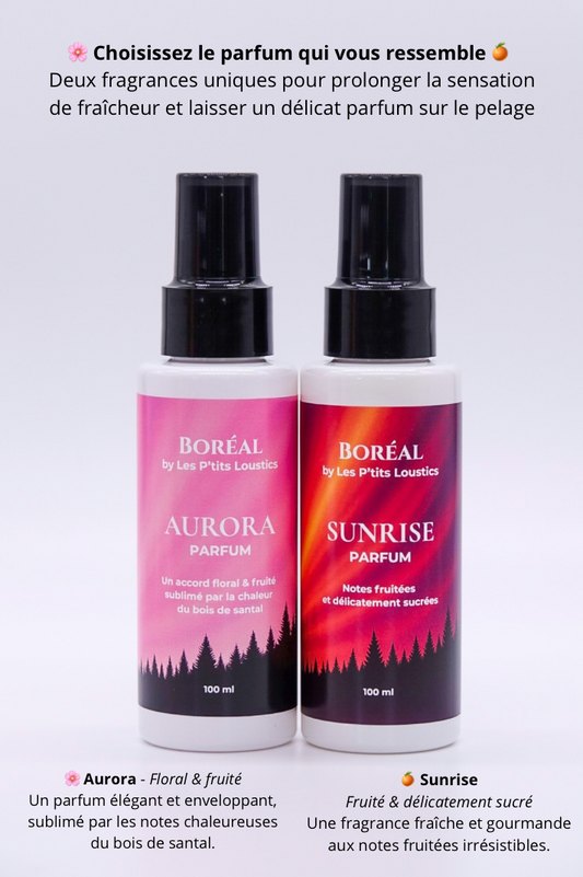🌸 Duo de Parfums