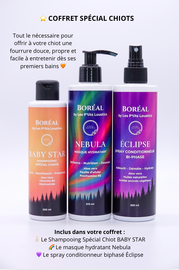 🧡 Coffret Spécial Chiots