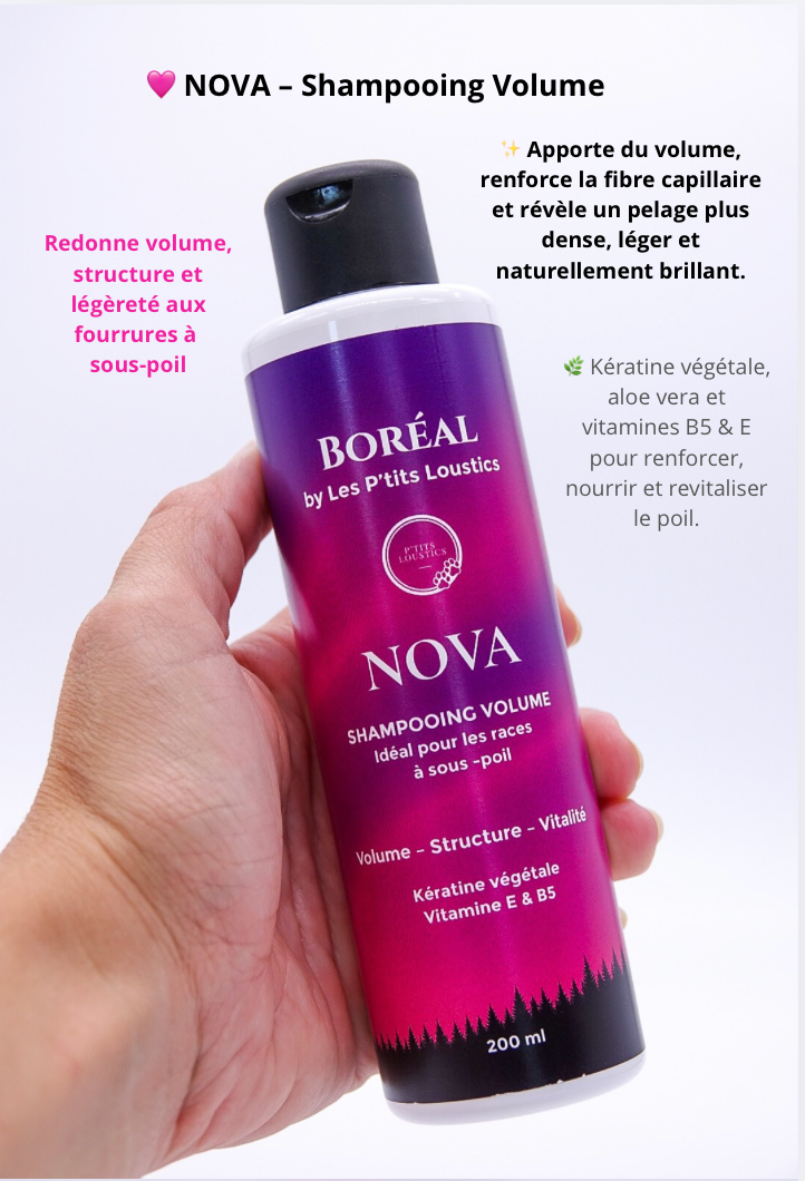 Shampooing Volume NOVA