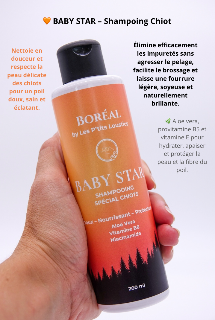 🧡 Coffret Spécial Chiots