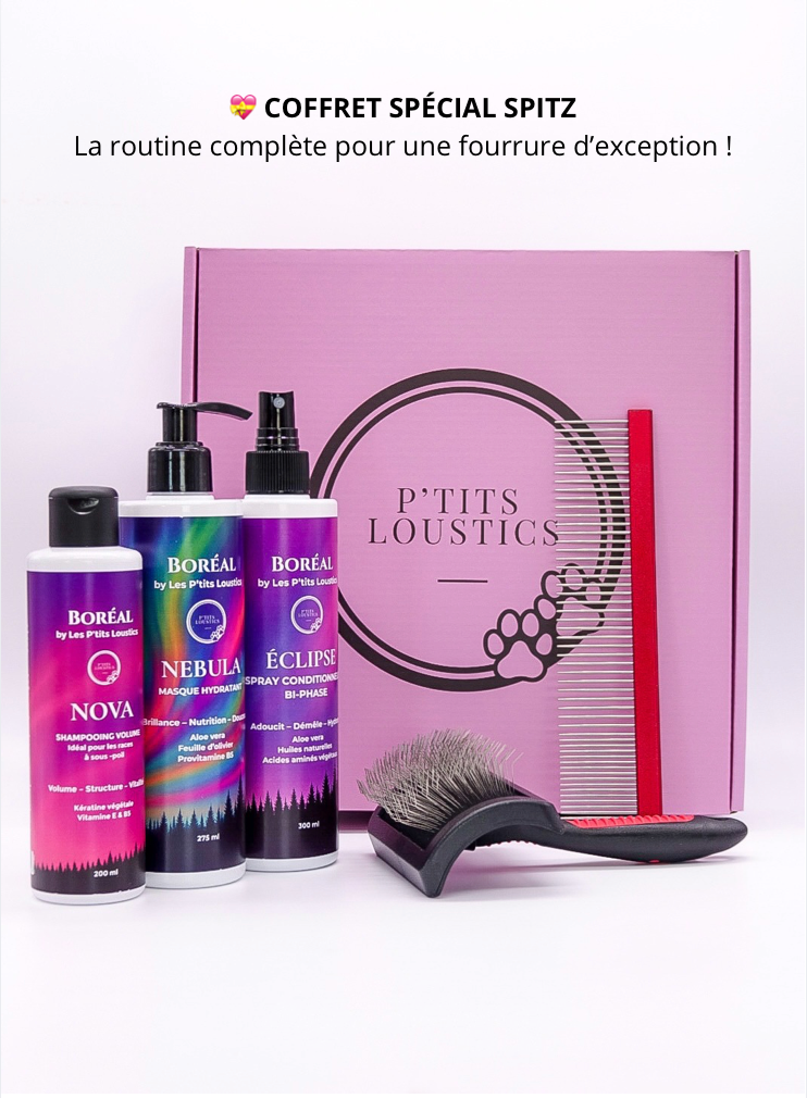 💝 Coffret Spécial Spitz