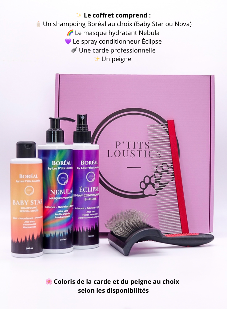 💝 Coffret Spécial Spitz