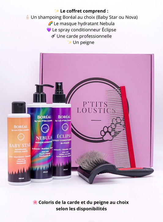 💝 Coffret Spécial Spitz