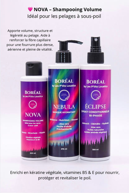 ✨ Coffret Boréal