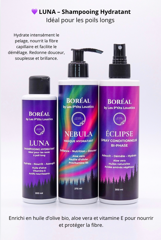 ✨ Coffret Boréal