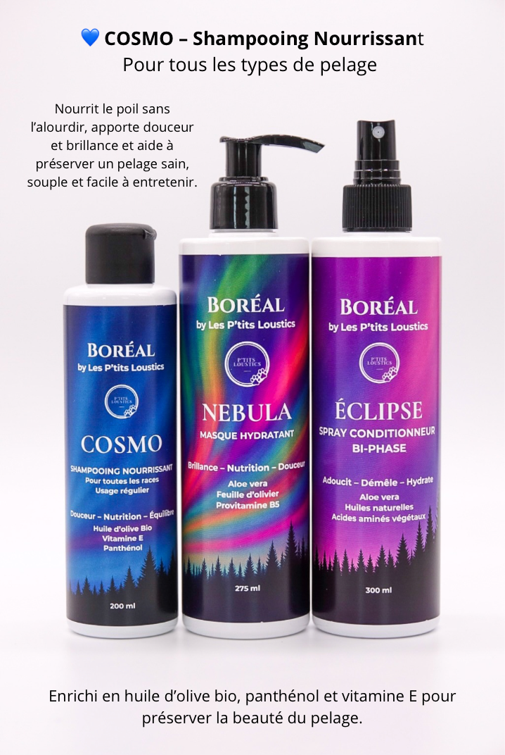 ✨ Coffret Boréal