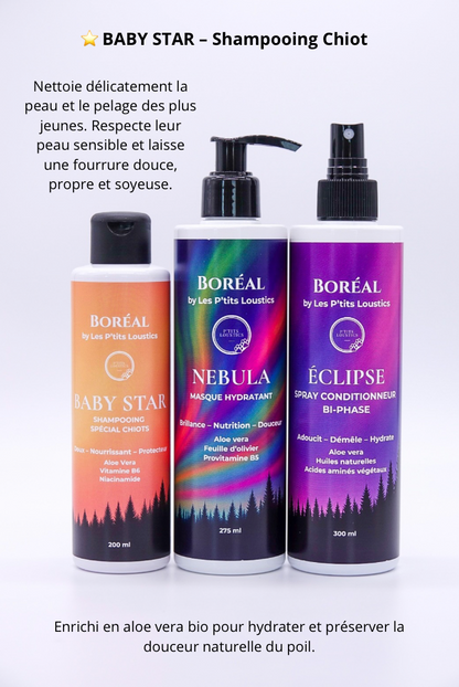✨ Coffret Boréal