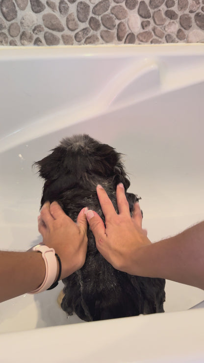Shampooing Volume NOVA